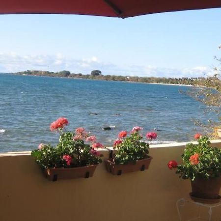 Le Cactus Guesthouse Terre Rouge  Exterior foto