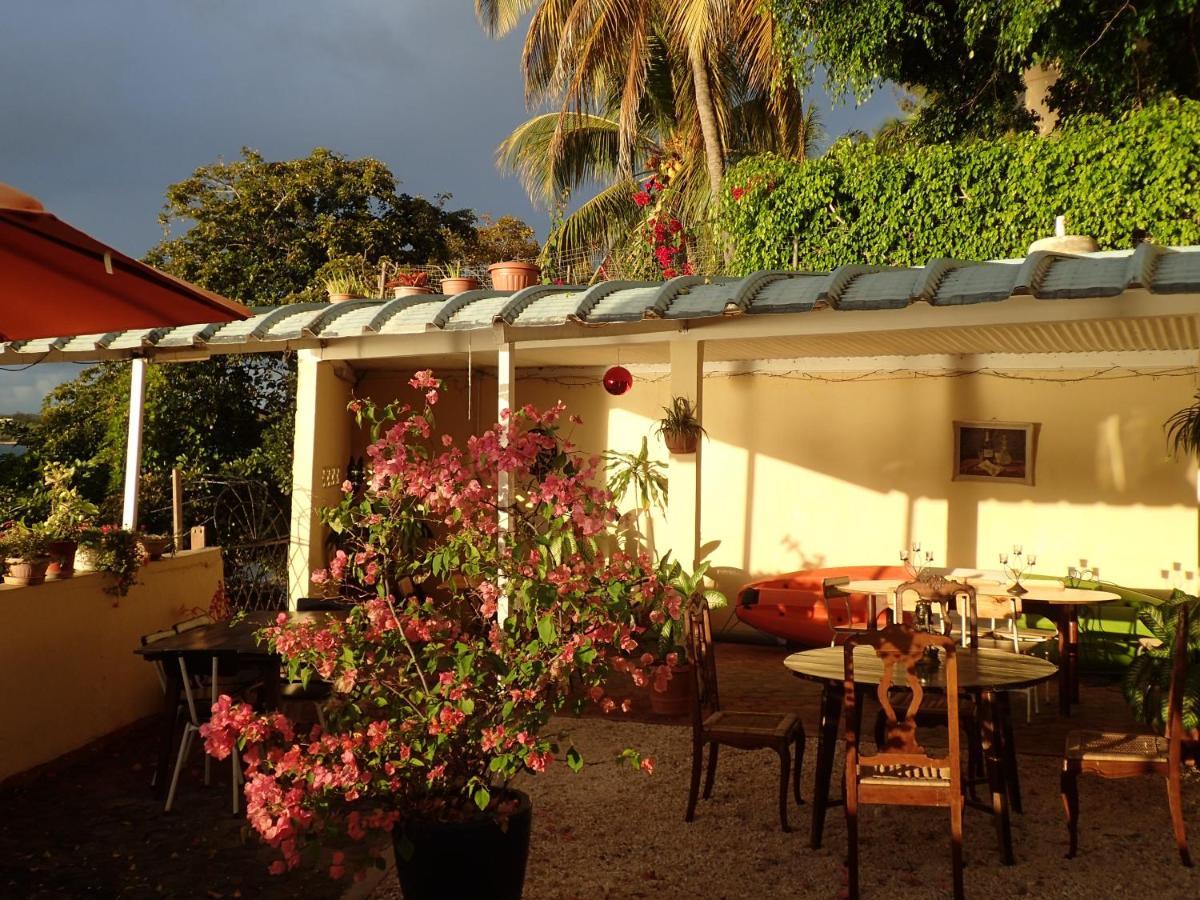 Le Cactus Guesthouse Terre Rouge  Exterior foto